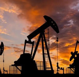 Japan asks US to stop flying Osprey military aircrafts after deadly crash